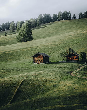 cabañas de madera, colina, paisaje de montaña, cabañas rústicas, Trentino Italia, vegetación exuberante, ambiente sereno, ladera idílica, escena rural, vista al campo, entorno natural