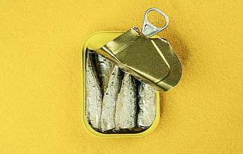 sardinky, umět, otevřená plechovka, Ryba, jasně žluté pozadí, kovová plechovka, Konzervované ryby, sardinky v plechovce, žluté pozadí, fotografování potravin, konzervované sardinky