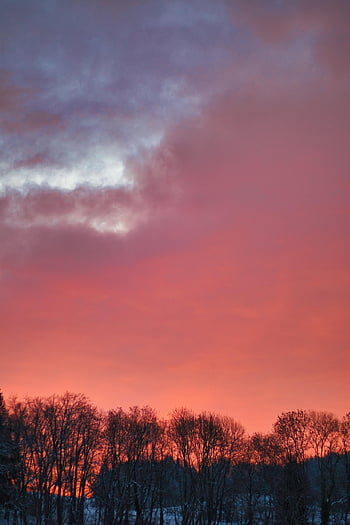 sunset, trees, winter, silhouettes, clouds, sky, dusk, twilight, afterglow, skyscape, cloudscape