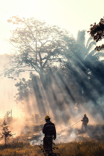 firemen, fire, smoke, rescue, brave, hero, grass Fire, forest Fire, dangerous, job, douse