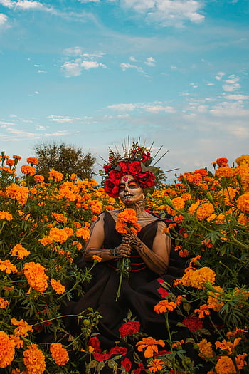 Dia de Los Muertos, woman in makeup, field of flowers, marigolds, Mexican tradition, beauty, Day of the Dead, cultural celebration, traditional attire, floral field, skeleton makeup