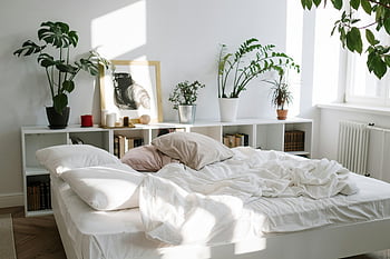 white pillows, messy bed, tranquil bedroom, indoor plants, natural sunlight, white bedding, cozy bedroom, morning light, plant decor, white furniture, minimalist bedroom