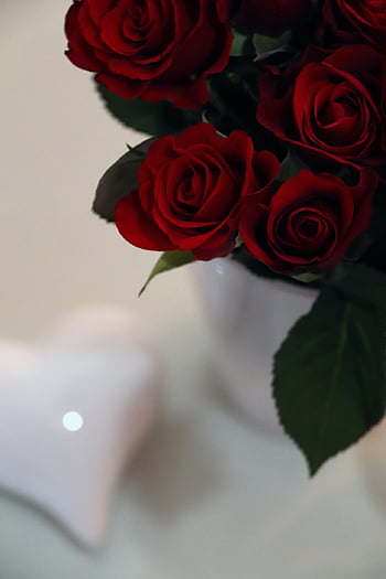 mazzo di rose, Rose, bellissimi fiori, Buona festa della mamma, rosso, cuore, bianca, amore, fiori, petali di rosa, innamorato
