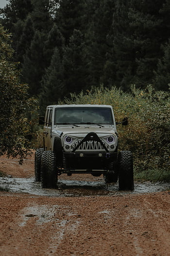 dzsip, földút, erdő, terep, sáros ösvény, robusztus jármű, szabadtéri kaland, 4x4, természet, vezetés, nyom