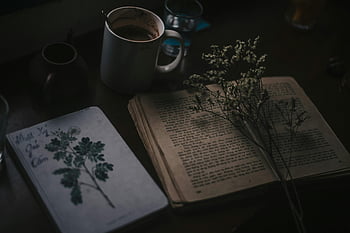 fiori bianchi, vecchio libro aperto, libro d'epoca, tazza di caffè, fiori secchi, tavolo in legno scuro, MOUMY Still Life, Libro e fiori, caffè e libro, floreale still life, impostazione della tabella scura