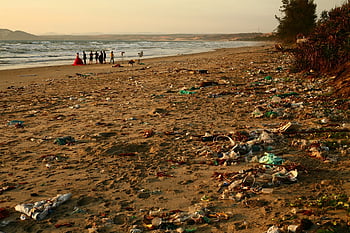 trash, pollution, beach, nature, ocean, plastic, straws, garbage, environment, save, protect