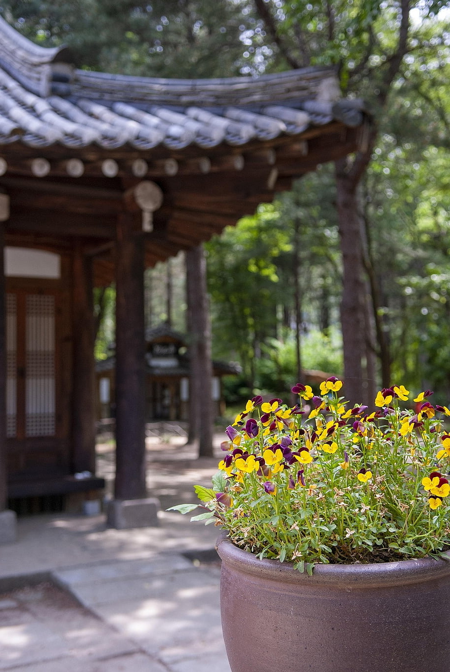 nami ostrov, Korea, Korejská republika, hanok, Jižní Korea