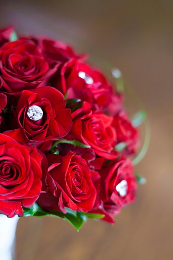 red roses, bridal bouquet, wedding flowers, romantic occasions, adorned jewels, stunning bouquet, red rose bouquet, wedding bouquet, romantic flowers, red rose arrangement, bridal flowers
