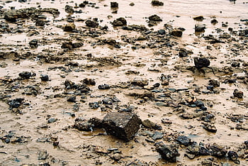 tidal Flat, beach, stone, gravel, mud Flat, texture, natural, weathering