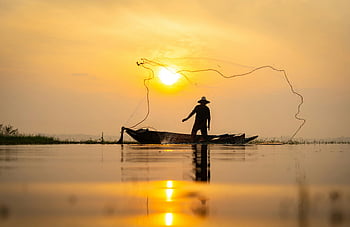 pescatore, barca, rete di lancio, Alba, bangkok, Tailandia, silhouette, acque tranquille, pesca, fiume