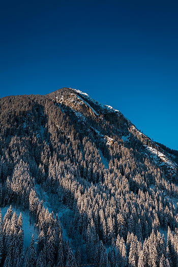 χιονισμένο βουνό, δέντρα, Mayrhofen, tirol, χειμερινή σκηνή, καθαρό μπλε ουρανό, παρθένο τοπίο, ορεινό τοπίο, χιονισμένα δέντρα, χειμερινή φωτογραφία