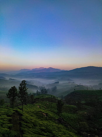 Munnar, collines brumeuses, lever du soleil, beauté serein, ciel bleu, plantations de thé, paysage, la nature, vue du matin, Kerala, Inde