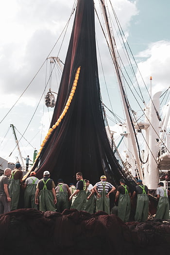 rybář, síť, moře, sítě, loď, Ryba, voda, lano, rybolov, přístav, trawler
