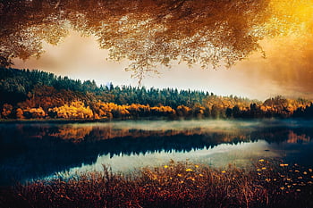ai Generated, fantasy, autumn, river, trees, forest, forest Edge, nature, reflection, outdoors, woods