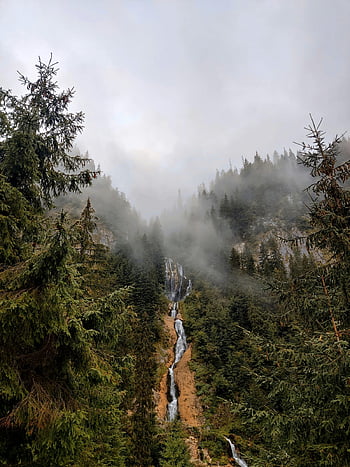 Cascade Cailor, Romania, waterfall, misty forest, Borșa, natural scene, mountain landscape, tranquil scene, forested mountains, scenic shot, majestic waterfall