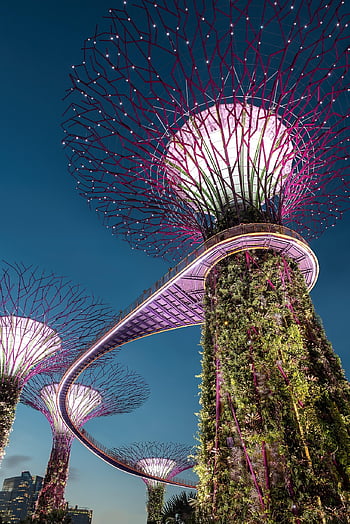 supertree Grove, garden, landmark, park, nature, scenery, flower, sky, earth, architecture, nes
