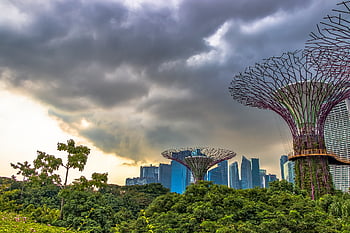 singapore, city, architecture, building, the Skyscraper, travel, asia, beautiful, buildings, landscape, excellent