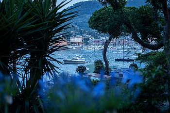 liguria, mare, isola, cittadina, Italia, santa margherita ligure, vacanza, natura, turismo, yacht, Barche