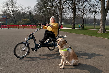 elderly woman, adaptive bicycle, guide dog, park, disabled people, outdoor activity, senior citizen, mobility aid, assistance animal, recreational cycling, accessibility