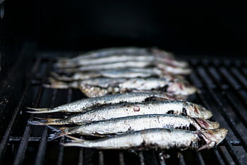 pesce crudo, griglia, sardine, pesce alla griglia, Frutti di mare sani, avvicinamento, Cucina di pesce, grigliate, pesce su griglia, sardine sulla griglia, cibo salutare