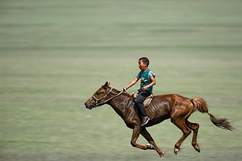 boy, horse Riding, galloping, horse, nature, grassland, sports, riding Rider, animal, mammalian, naadam