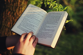 reading a book, outdoor reading, serene natural setting, immersed in literature, person reading, book outdoors, natural reading environment, peaceful reading, book in nature, reading in nature, outdoor literature