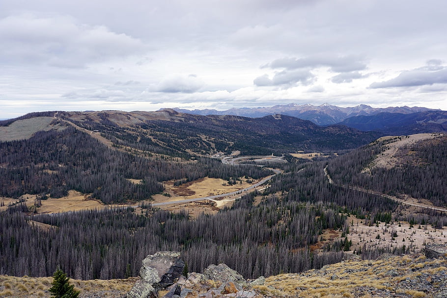 mountains, forest, trees, hills, outdoors, nature, scenic, colorado, landscape