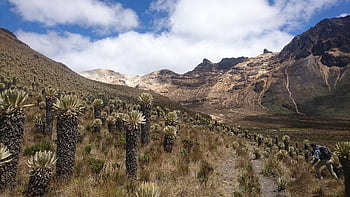 Kolumbie, trekking, hory, krajina, Příroda, národní park, paramo, nevado del quindio, sopka
