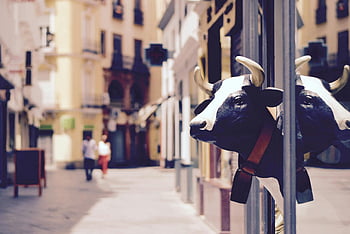 reflekterende ko-skulptur, Levende Urban Street, folk går, bymæssige omgivelser, gadescene, kohoved, bybilledet, urban kunst, gadekunst, byliv