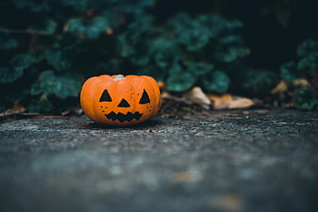 jack-o-lantern, floor, small pumpkin, fall theme, Halloween theme, carved pumpkin, autumn leaves, outdoor pumpkin, seasonal decoration, festive pumpkin, ground pumpkin