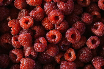 maliny, režijní záběr, Vibrující top pohled, čerstvé bio maliny, Bohatá červená barva, organické bobule, Raspberry Textura, Raspberry detail-up, malinový trs, malinové detaily, malinový vzor