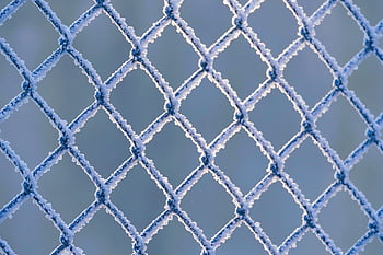 fence, wire, frozen, sun, cold, winter, snow, nature, icy