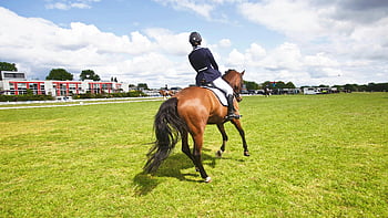 horse rider, dressage event, outdoor event, bright sky, horse riding, field, day, equestrian sport, horse, rider, dressage