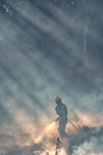 firemen, fire, nature, smoke, rescue, brave, hero, grass Fire, forest Fire, dangerous, job
