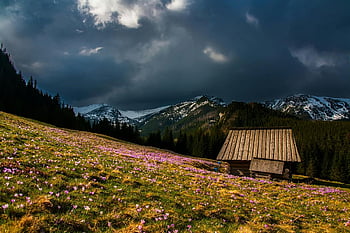 hnědý dům, hora, srub, dramatická krajina, Vibrující květy, pohled, fotografování přírody, venkovní nastavení, rustikální kouzlo, alpské scenérie, Kabina Retreat