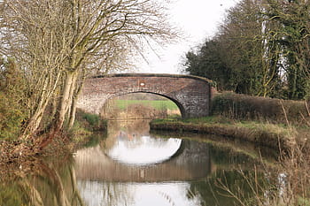Bridge, Trent and Mersey Canal, Wheelock, Sandbach, Cheshire, towpath, walk, Boxing Day, winter, reflection, trees