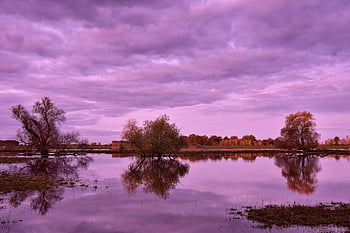 flow, flood, sunset, trees, floods, flooded, water Level, landscape, afterglow, dusk, climate Change