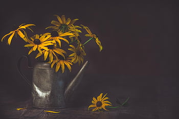 květiny, kropící konev, vinobraní, krásná tapeta, konev, Příroda, coneflowers, žluté květy, květinové tapety, okvětní lístky, tapeta na zeď