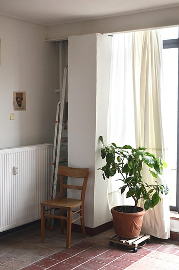 interior room, potted plant, wooden chair, near window, natural light, serene interior, white curtains, tiled floor, ladder, radiator, wall art