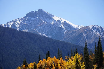 milyon dolarlık otoyol, doğa, colorado, dağlar, sonbahar, peyzaj, orman, manzara, titrek kavak