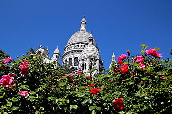 sacred Heart, montmartre, paris, basilica, church, france, rosebushes, red Color, flowering Shrubs, plants, garden