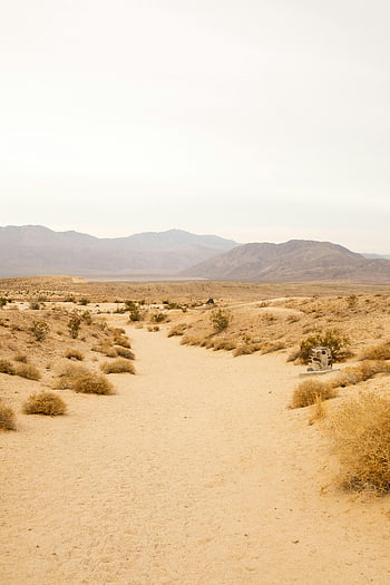 desert pathway, Borrego Springs, California, serene landscape, desert mountains, desert scenery, outdoor exploration, natural beauty, arid environment, desert trail, tranquil desert