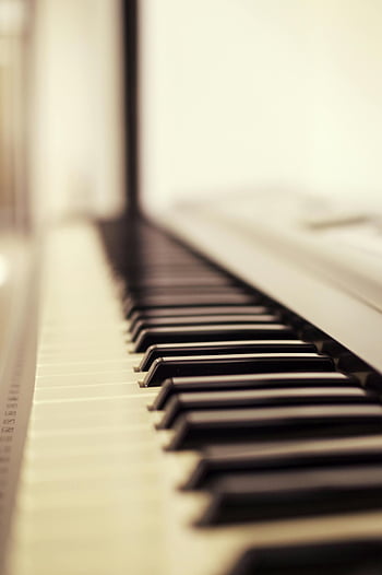 klávesy piana, makro fotografie, detail, měkké zaostření, černé klíče, bílé klávesy, klasické piano, hudební nástroj, klávesnice, klavírní fotografie, Detaily klavíru