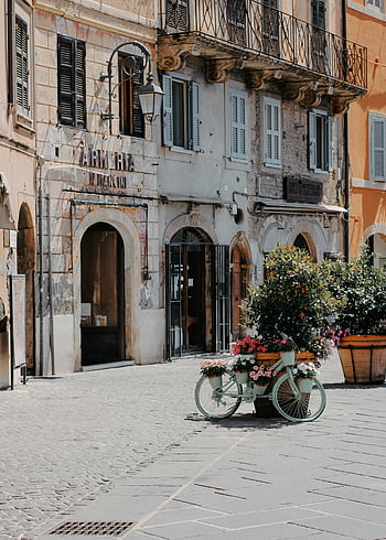 sonnenbeschienene Kopfsteinpflasterstraße, europäische Stadt, dekoriertes Fahrrad, malerische Straße, Kopfsteinpflaster, Sunlit Street, europäische architektur, Stadtszene, blumengeschmücktes Fahrrad, historische Gebäude, Straßenszene