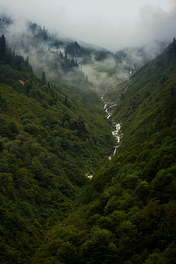letecký pohled, údolí, hory, hustý les, zelený les, mlhavý les, kaskádový vodopád, klidná krajina, přírodní scenérie, horské údolí, Forest Valley