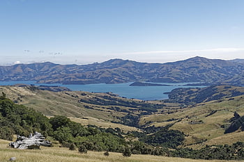 new Zealand, banks Peninsula, peninsula, akaroa Bay, bay, water, canterbury, christchurch, south Island, nature, landscape