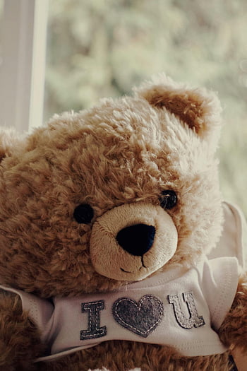 brown bear plush toy, white shirt, adorable teddy bear, I love you message, perfect sentiments, cute stuffed animal, soft toy, gift idea, plush bear, heart message, teddy bear in shirt