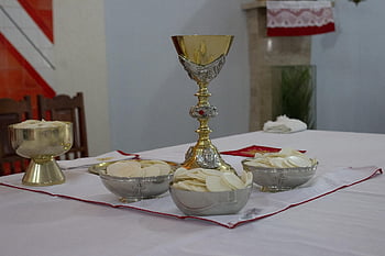 kostel, společenství, kočka, eucharistie, zvíře, náboženství, Ježíš, křesťanství, víra, Kristus, svatý