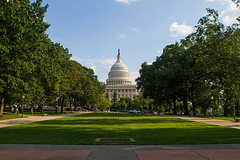 Kapitol der Vereinigten Staaten, Washington, Kapitol Kuppel, üppige grüne Bäume, sonniger Tag, Wahrzeichen, Hauptgebäude, Kapitolgelände, Kapitolpark, Architektur des Kapitols, Blick auf das Kapitol