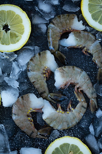 raw shrimps, ice fragments, lemon slices, fresh uncooked shrimp, ice cubes, culinary presentations, seafood, lemon garnish, shrimp display, food photography, ice and lemon